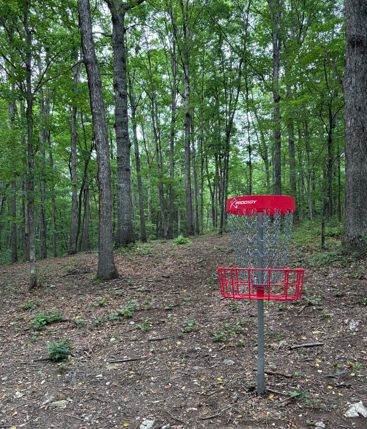 Hole #4 Basket to Tee