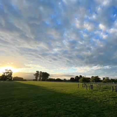 View from Back 9