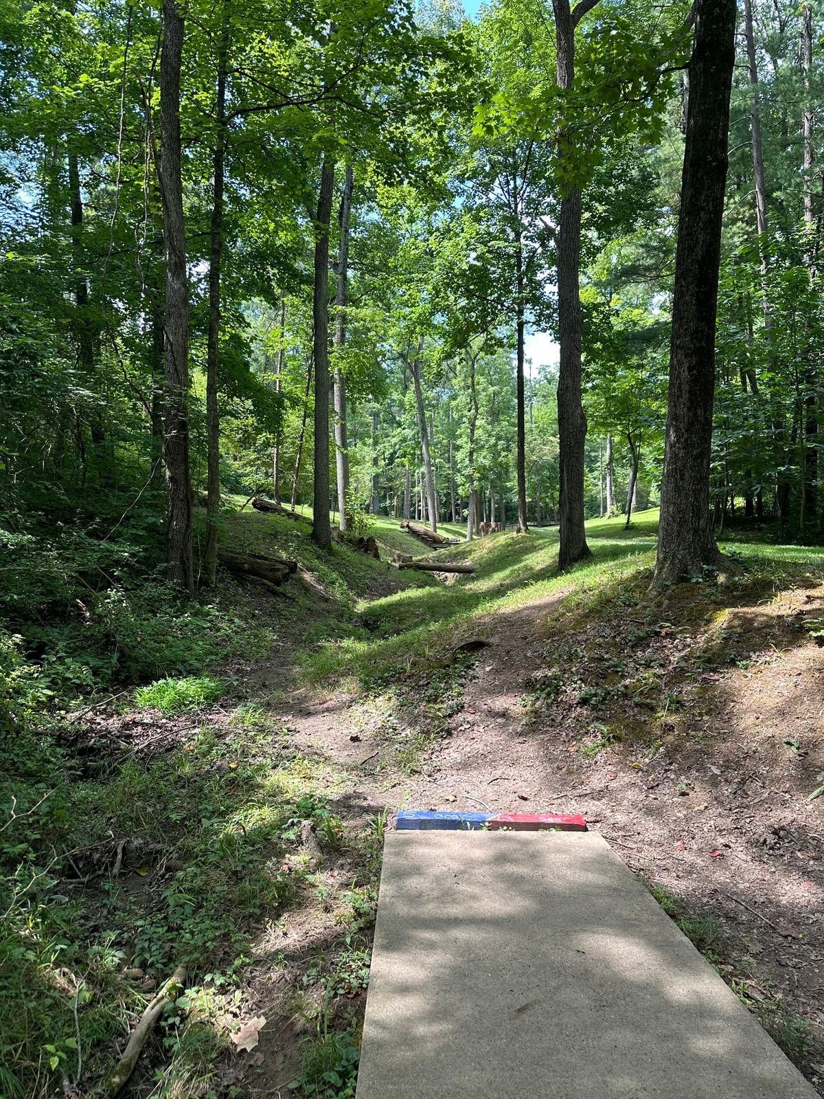 Tee pad of hole 5 (iconic bridge basket) 8/4/24
