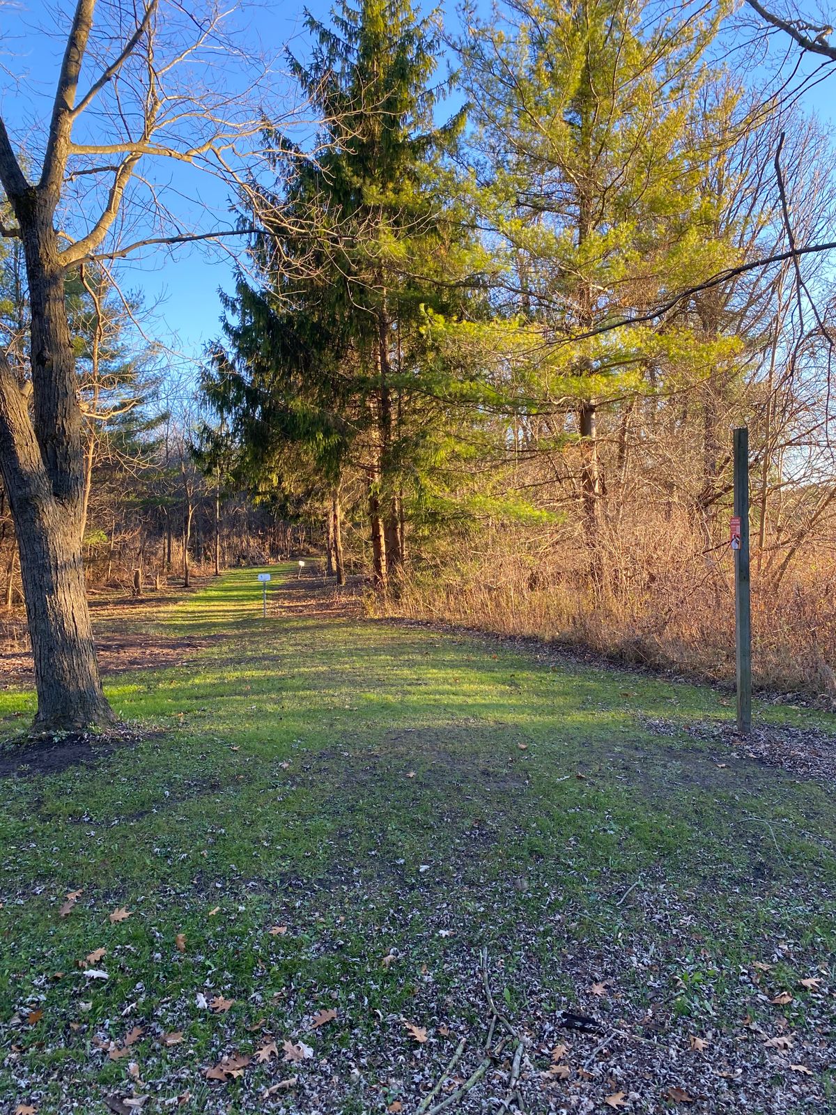 Entrance into hole 1