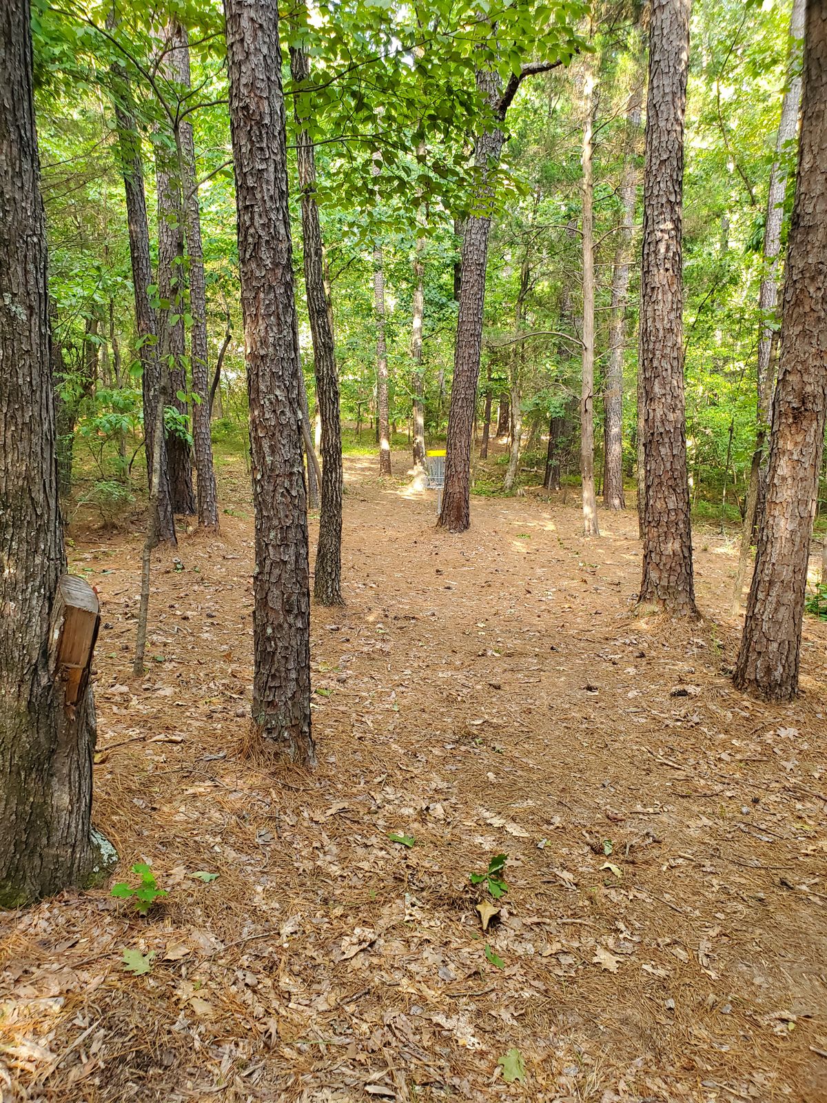 Hole 8 approach