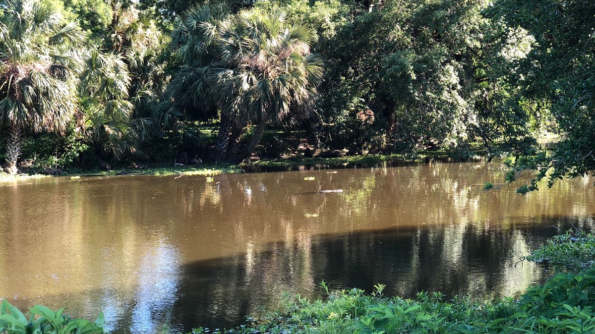 Hole 13