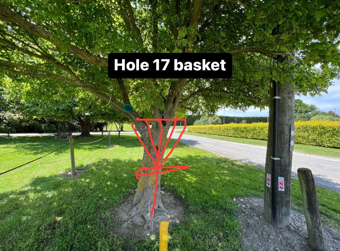 Hole 17 basket