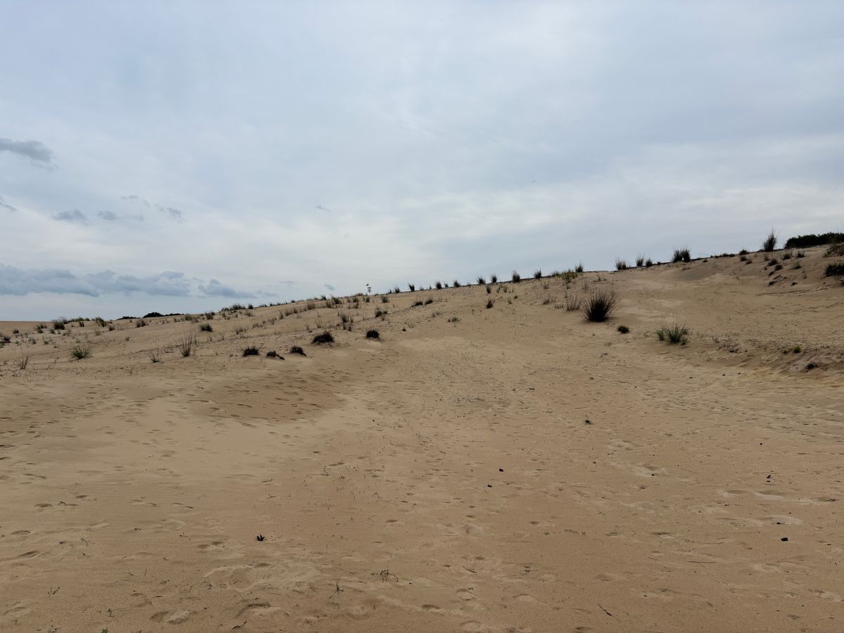 Hole 11 approach