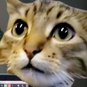 bbrdgg