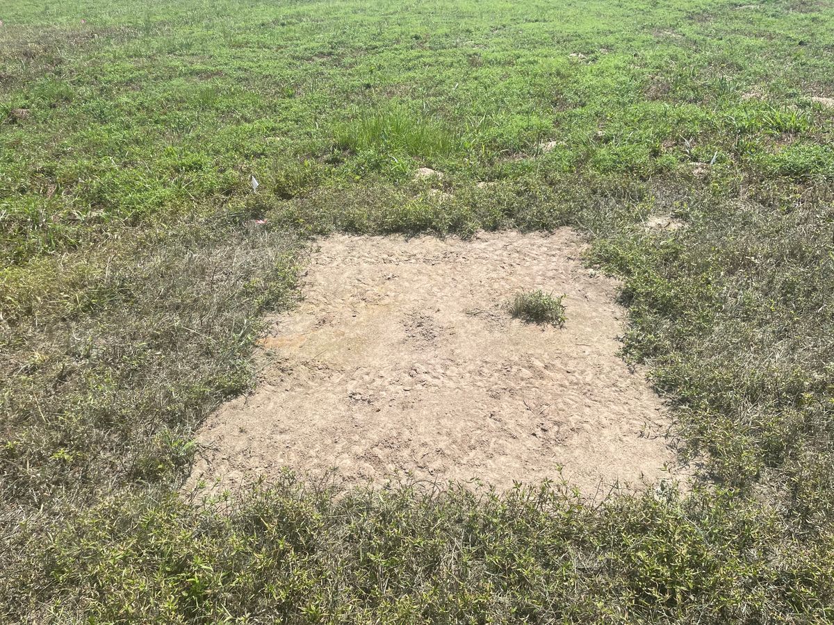 Tee pads