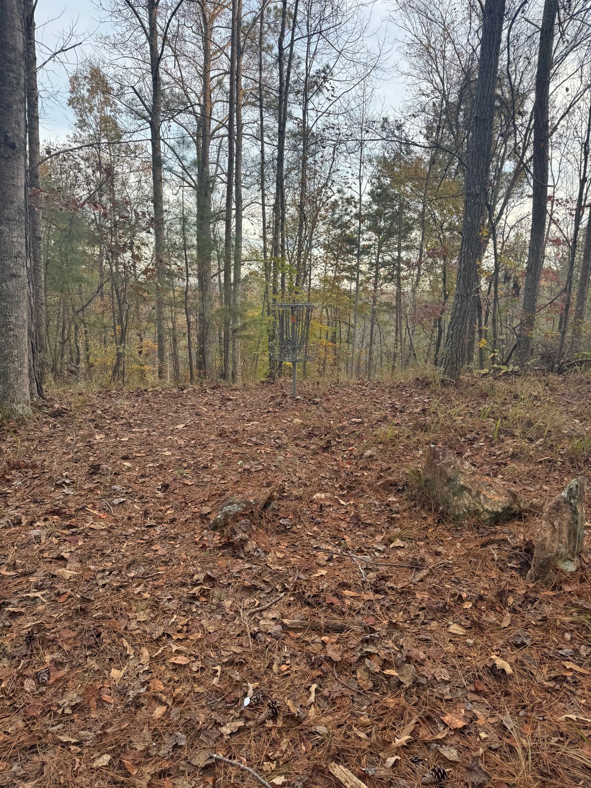 Hole 5 basket