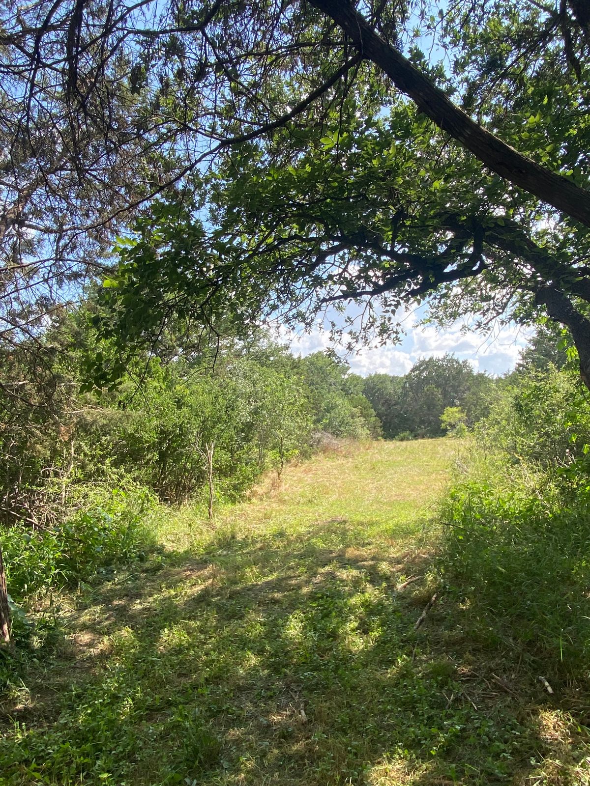 Hole 13 tee