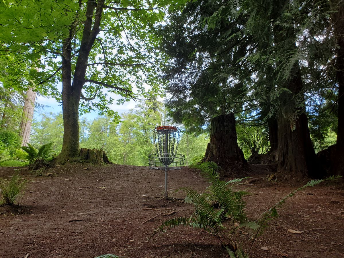 Green for Hole 8