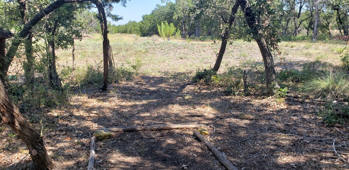 Hole 5 Long