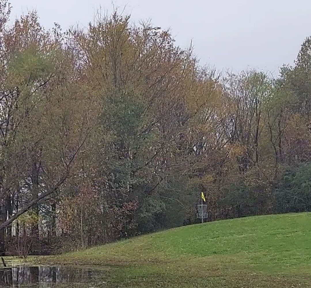 Beautiful green on 16.