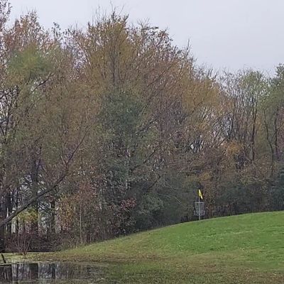 Beautiful green on 16.