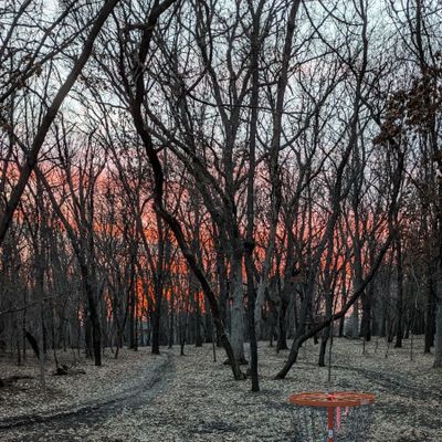 March 3rd, 2024. Sunset, basket 8.