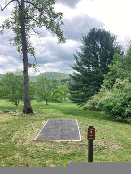 Tee 5