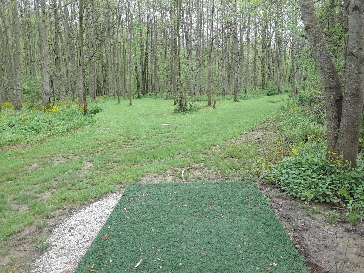 hole 13