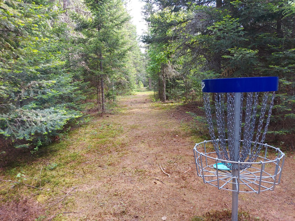 Reverse back up the fairway  on hole 13.🍁🌲🍁🌲🍁🌲