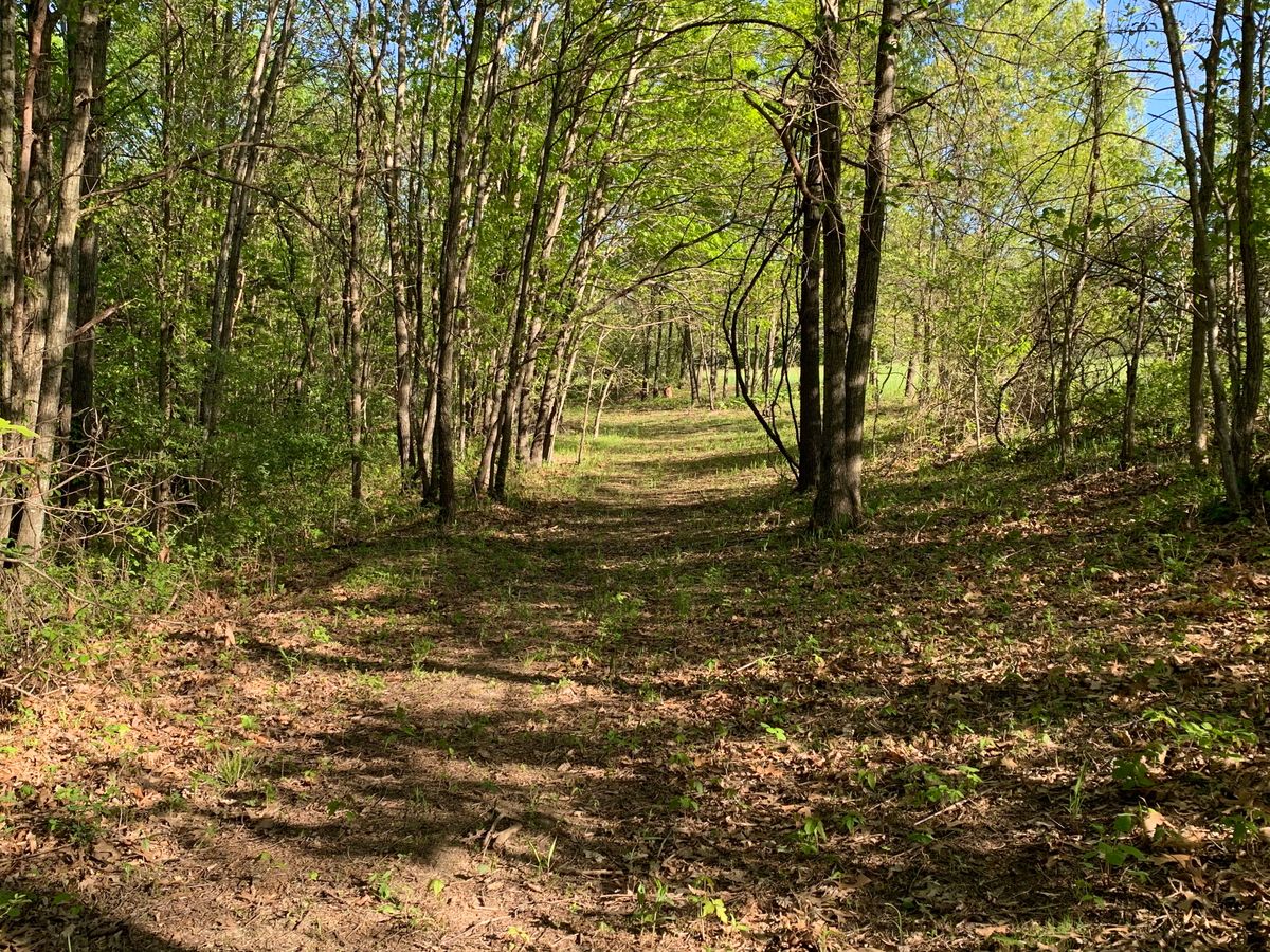 Hole 2  
A narrow gap finishing sharply left