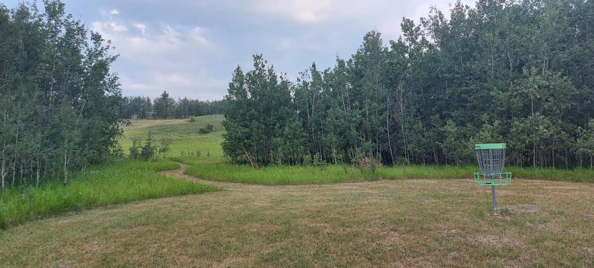 Reverse back up the fairway on hole 12 .te


Reverse back up the fairway on hole 12. 🌳🌴🌳🌴