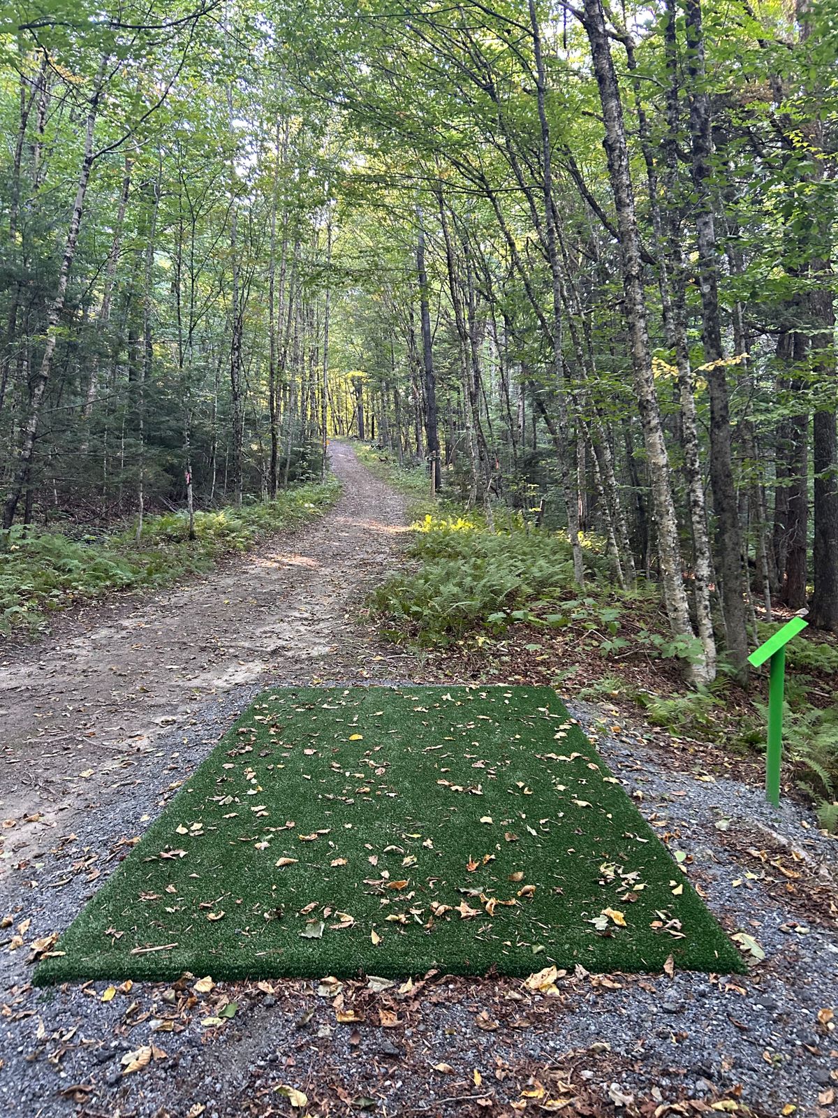 Hole 3 tee