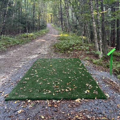 Hole 3 tee