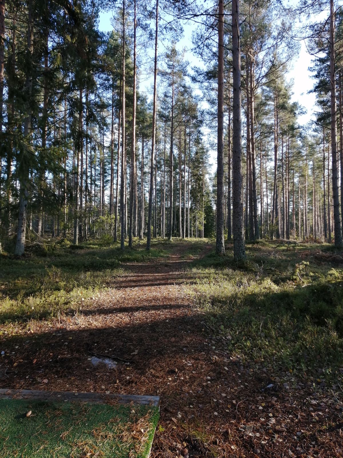 5. Väylä