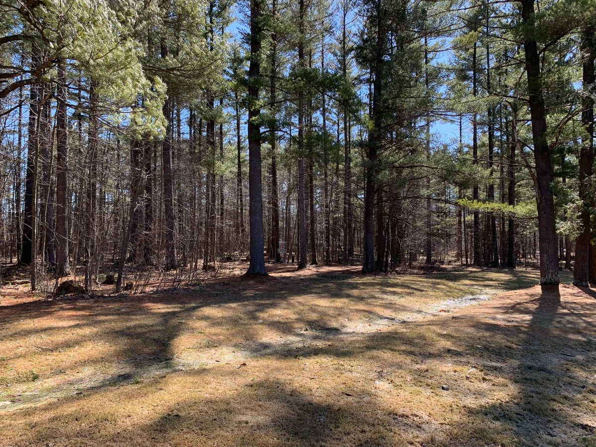 Hole 17 approach