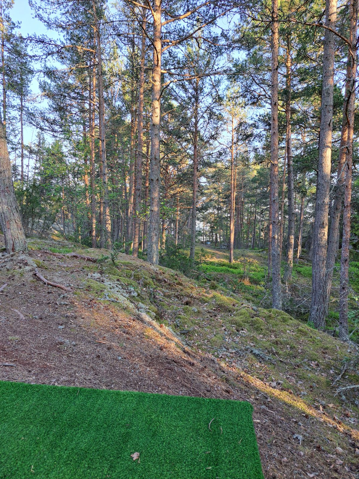 Hole 4.