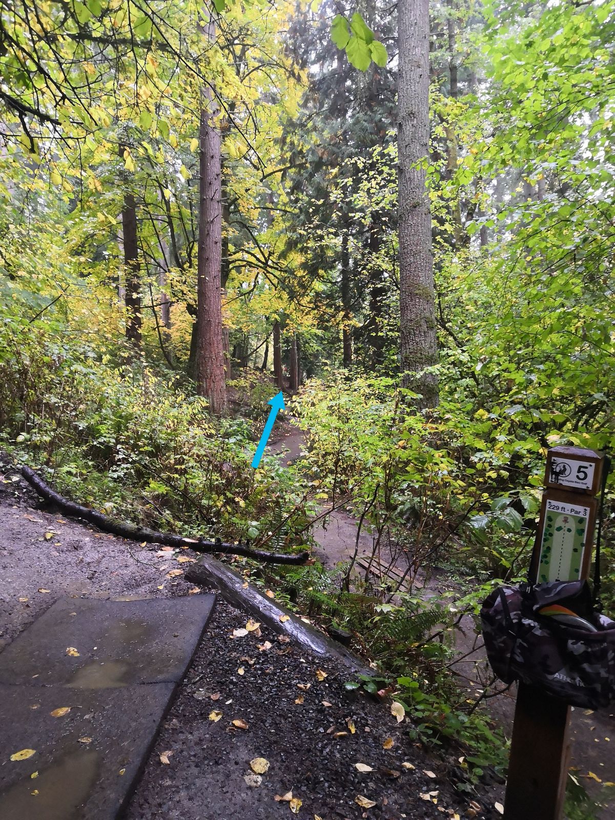 Hole 5