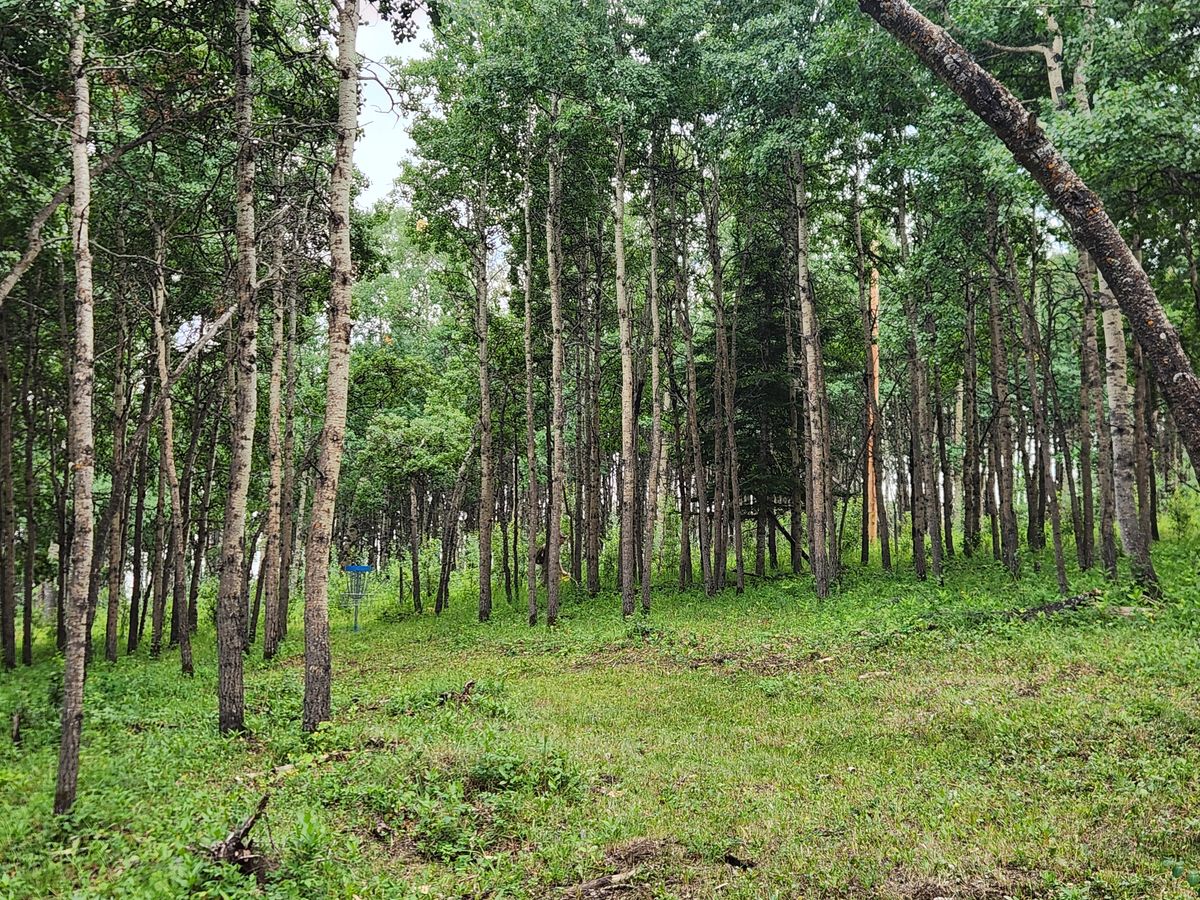 Hole 8
