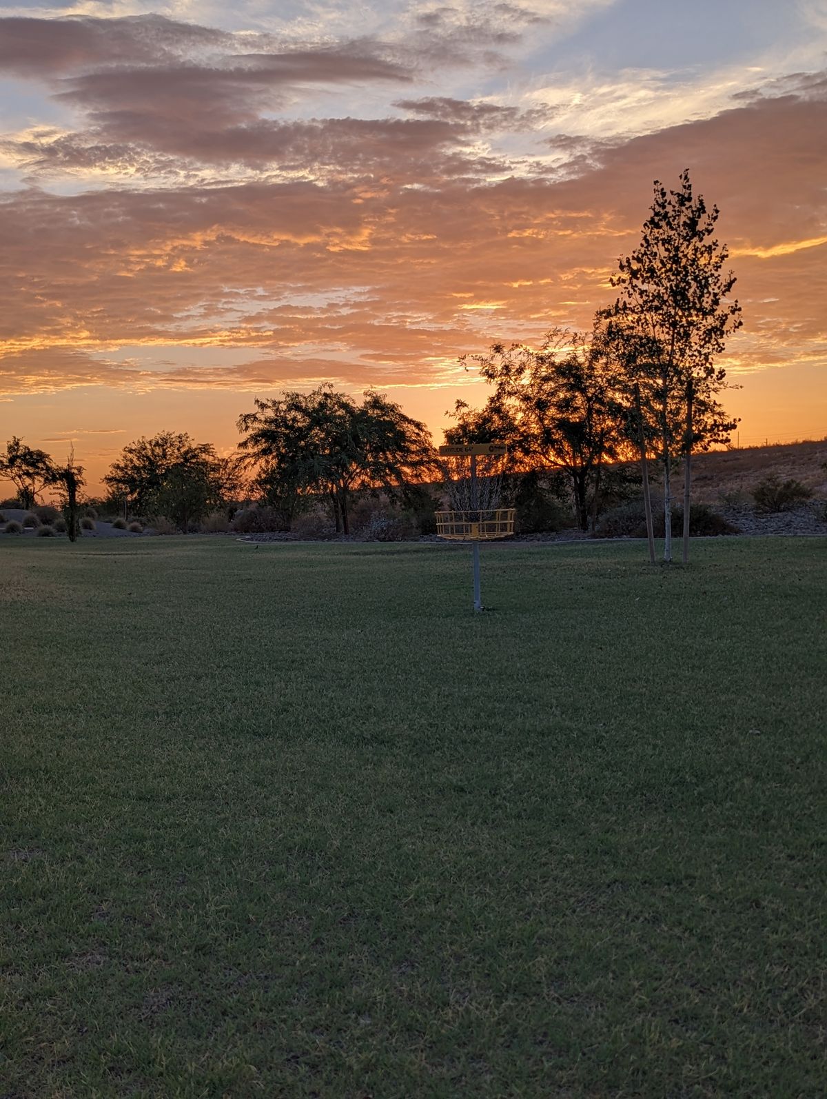 Sunset at 16