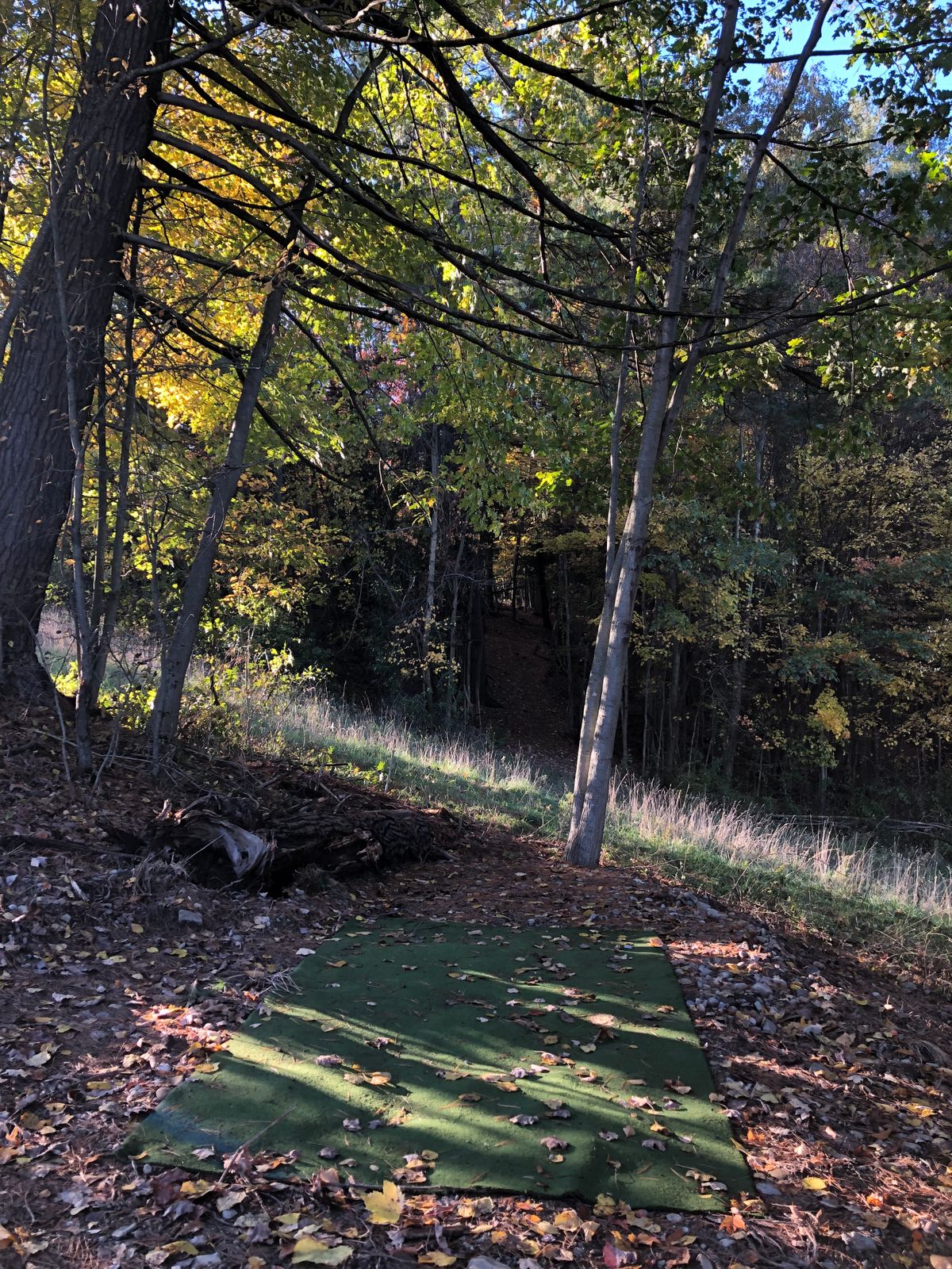 Hole #4 - Blue Tees