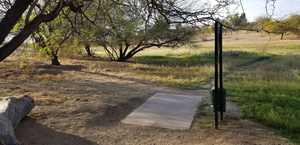 Hole 15