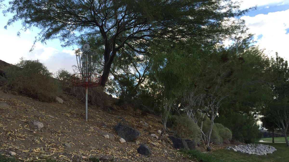 Hole 7