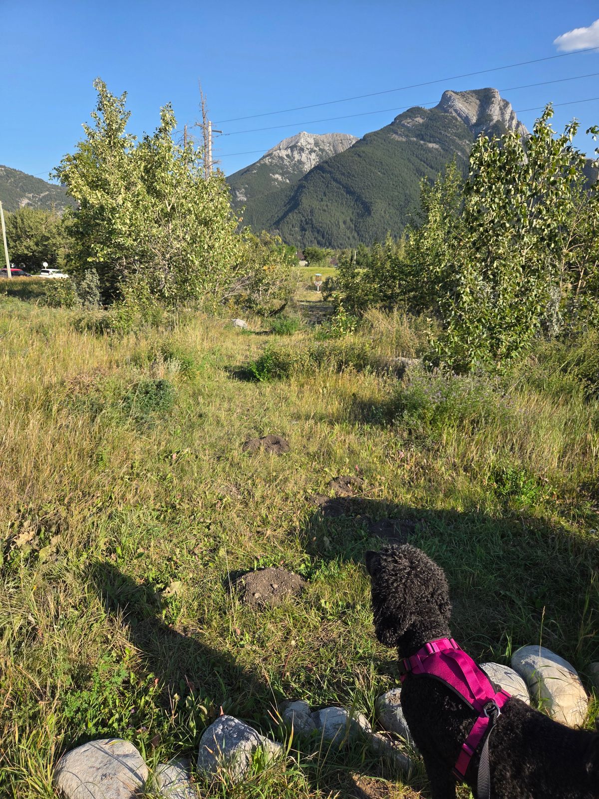Hole 4