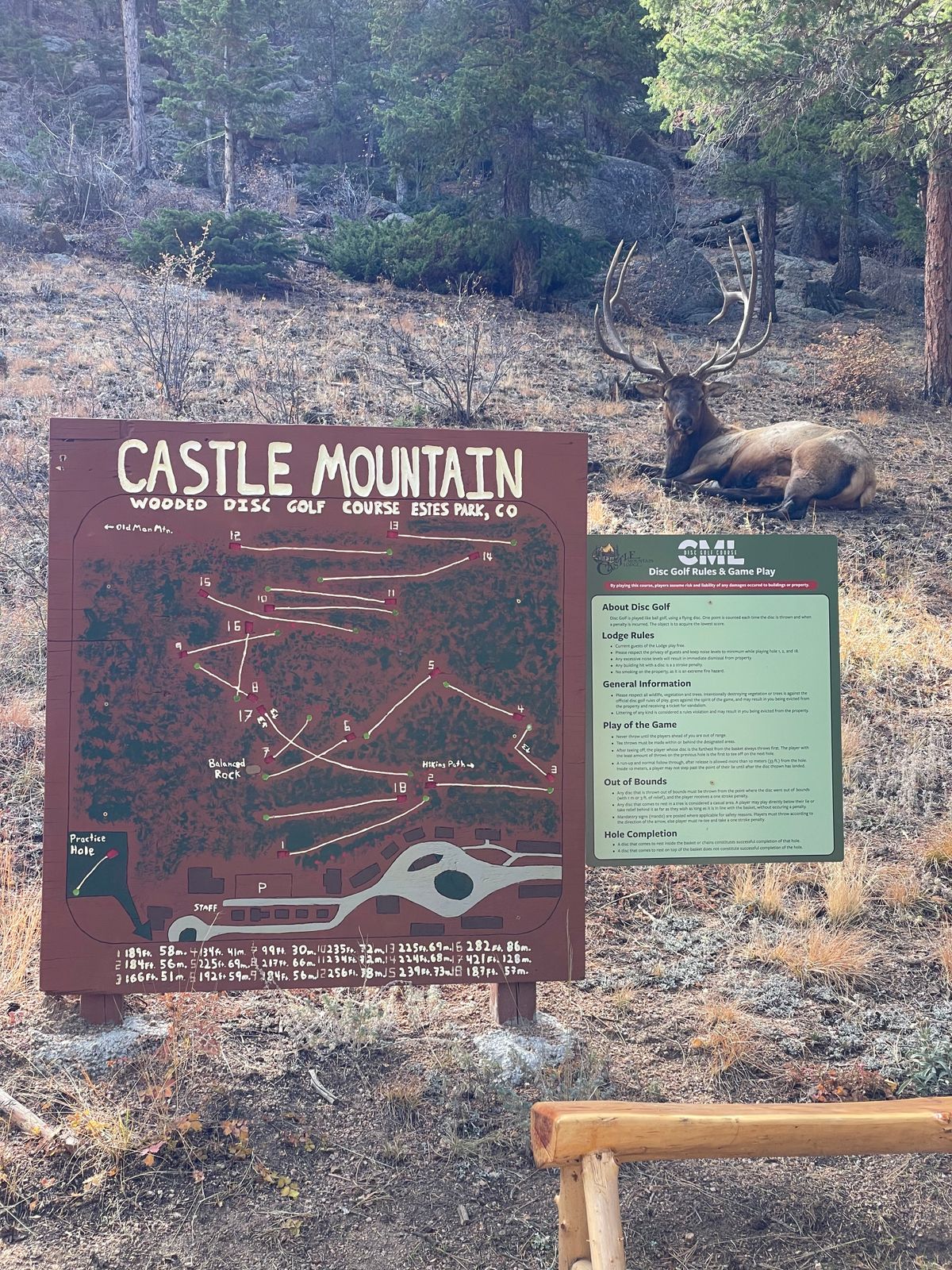 Elk at the course map