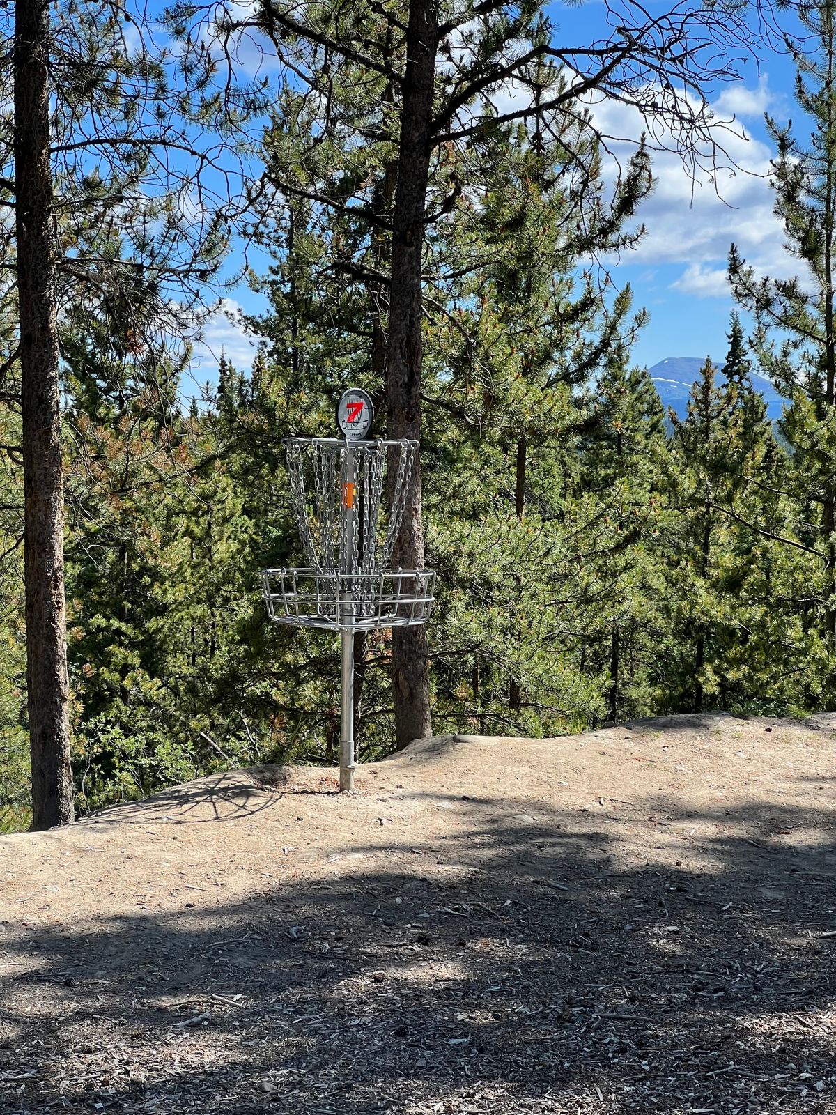 Hole 7 basket