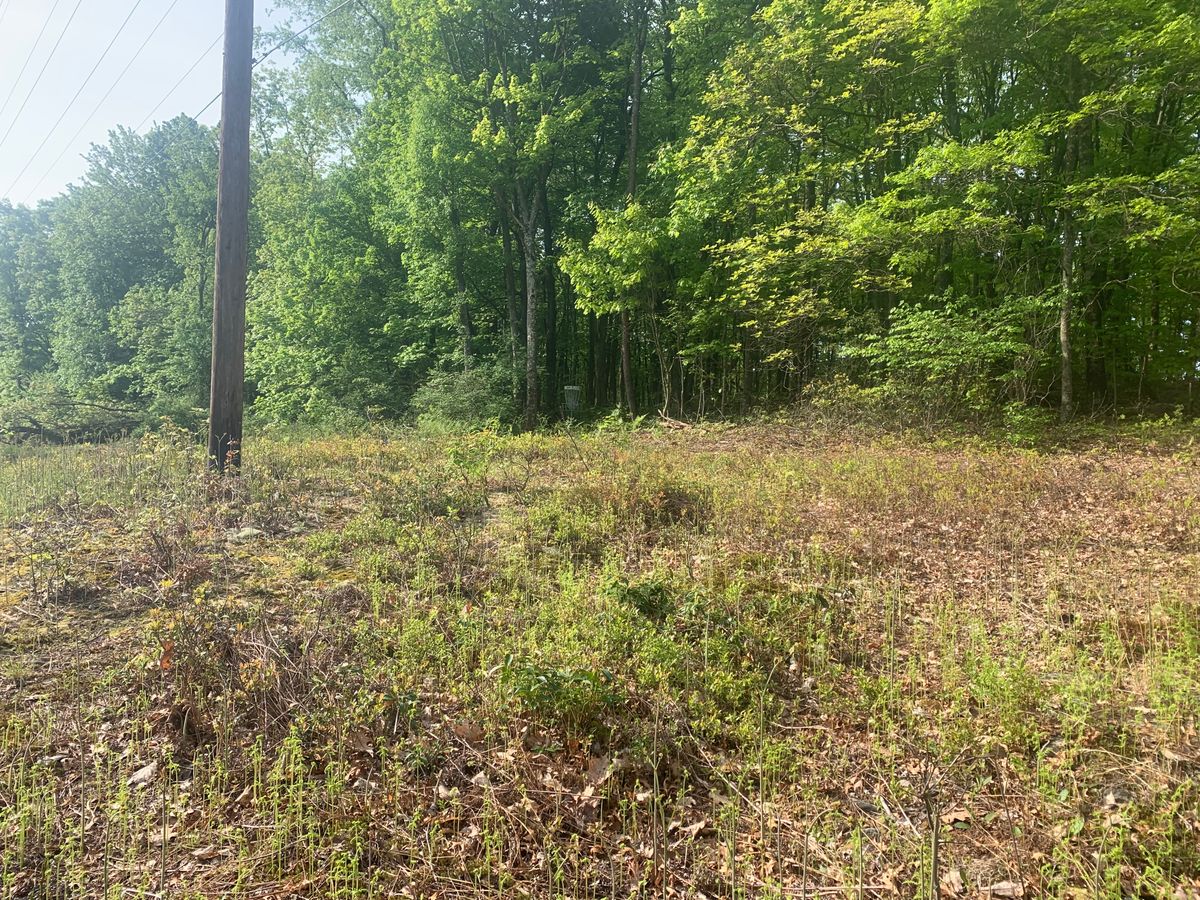 5 fairway