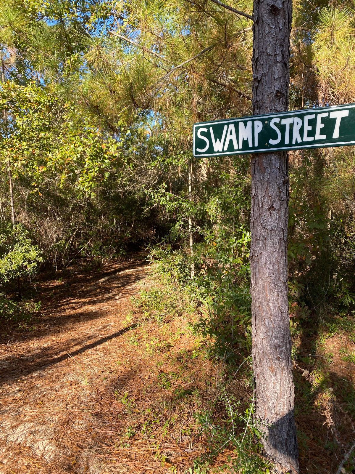 Swamp street