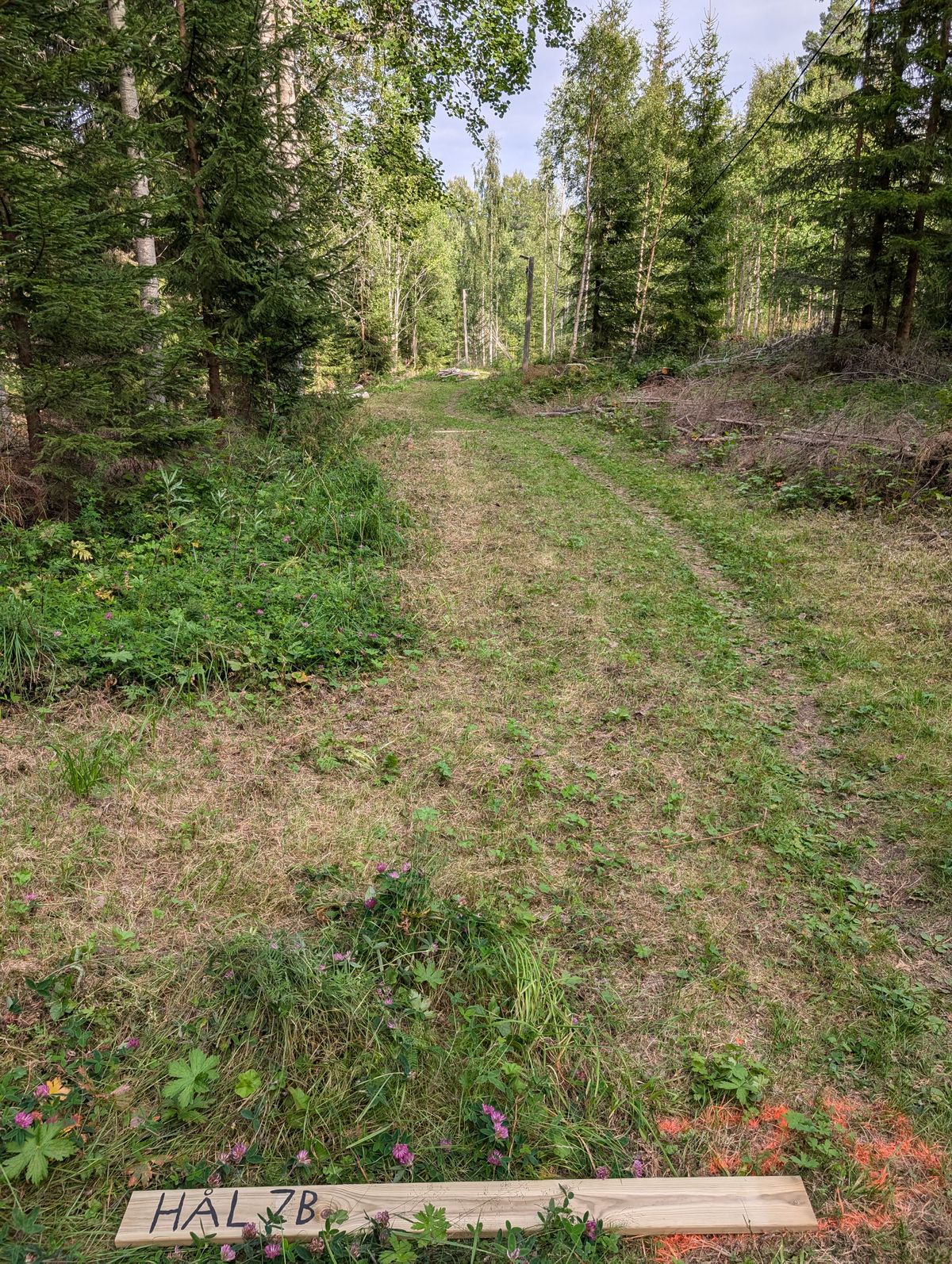 Utkast hål 7