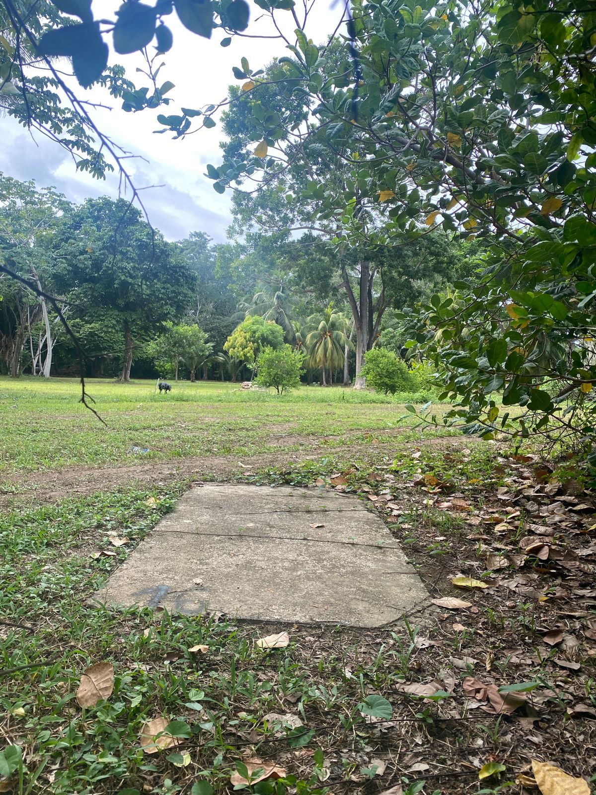 Hole 16