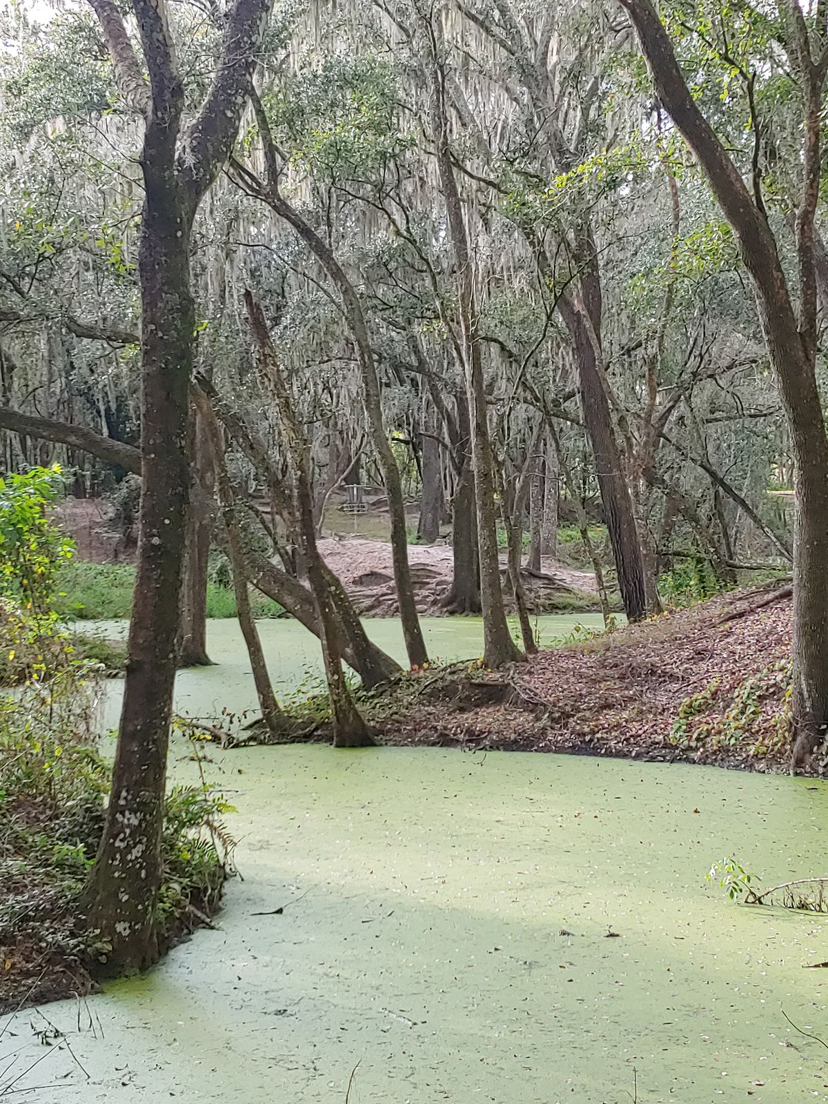 Hole 13