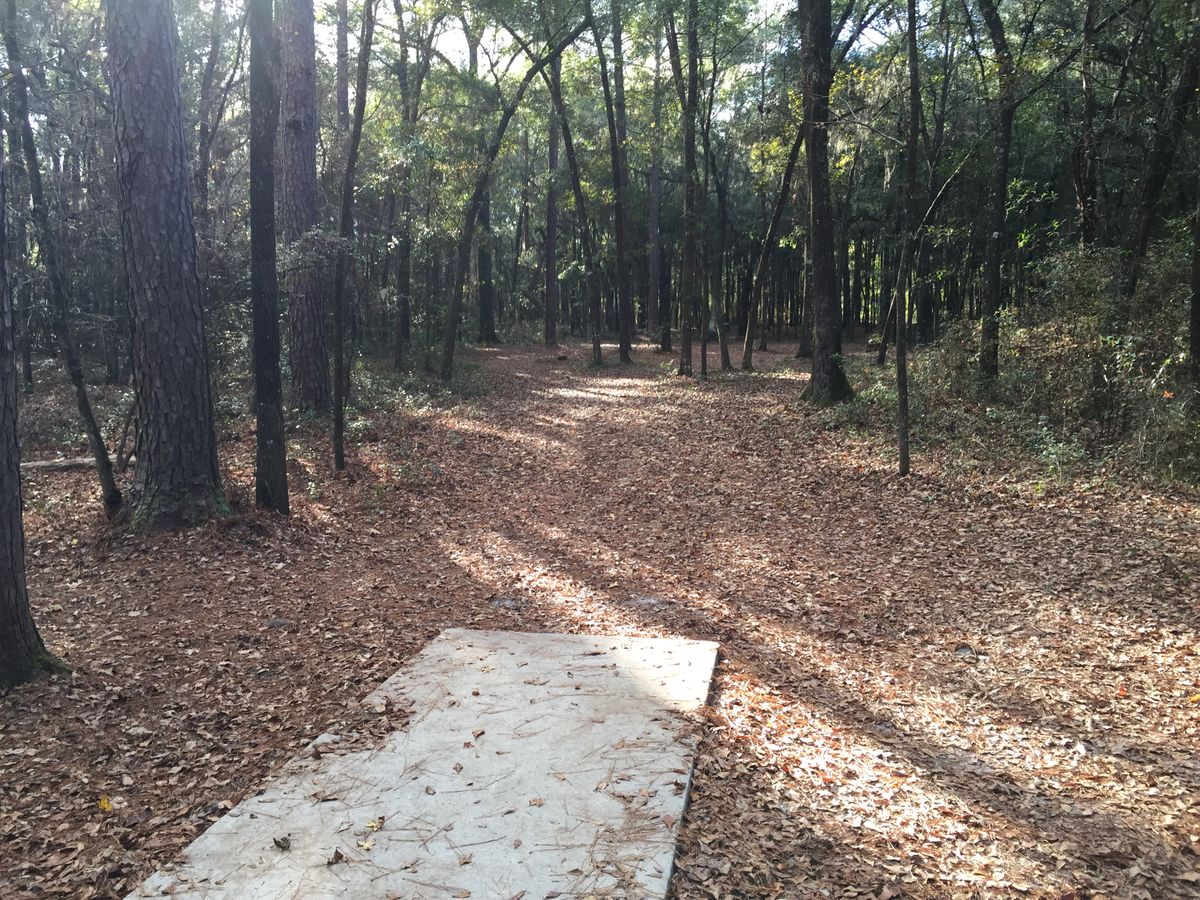 Hole 14
