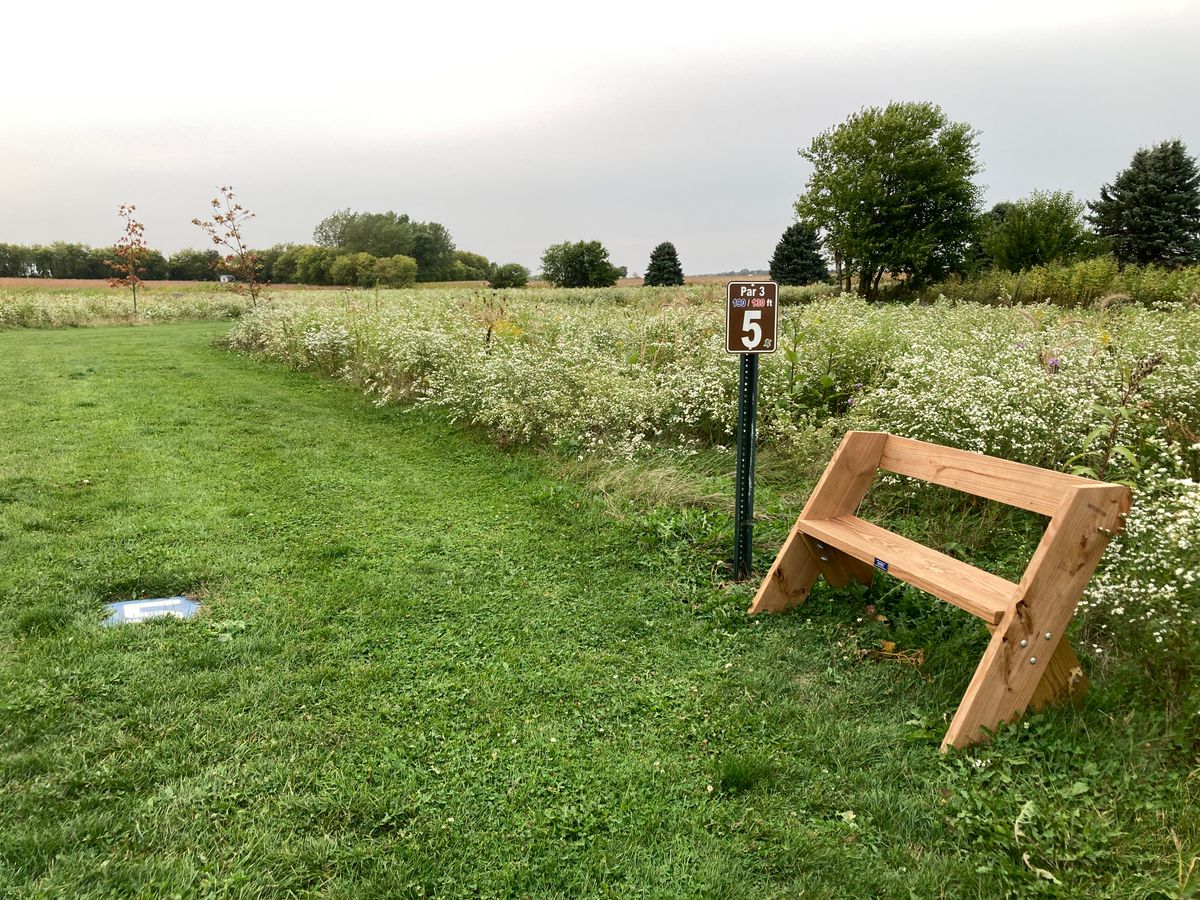 Nice bench!
