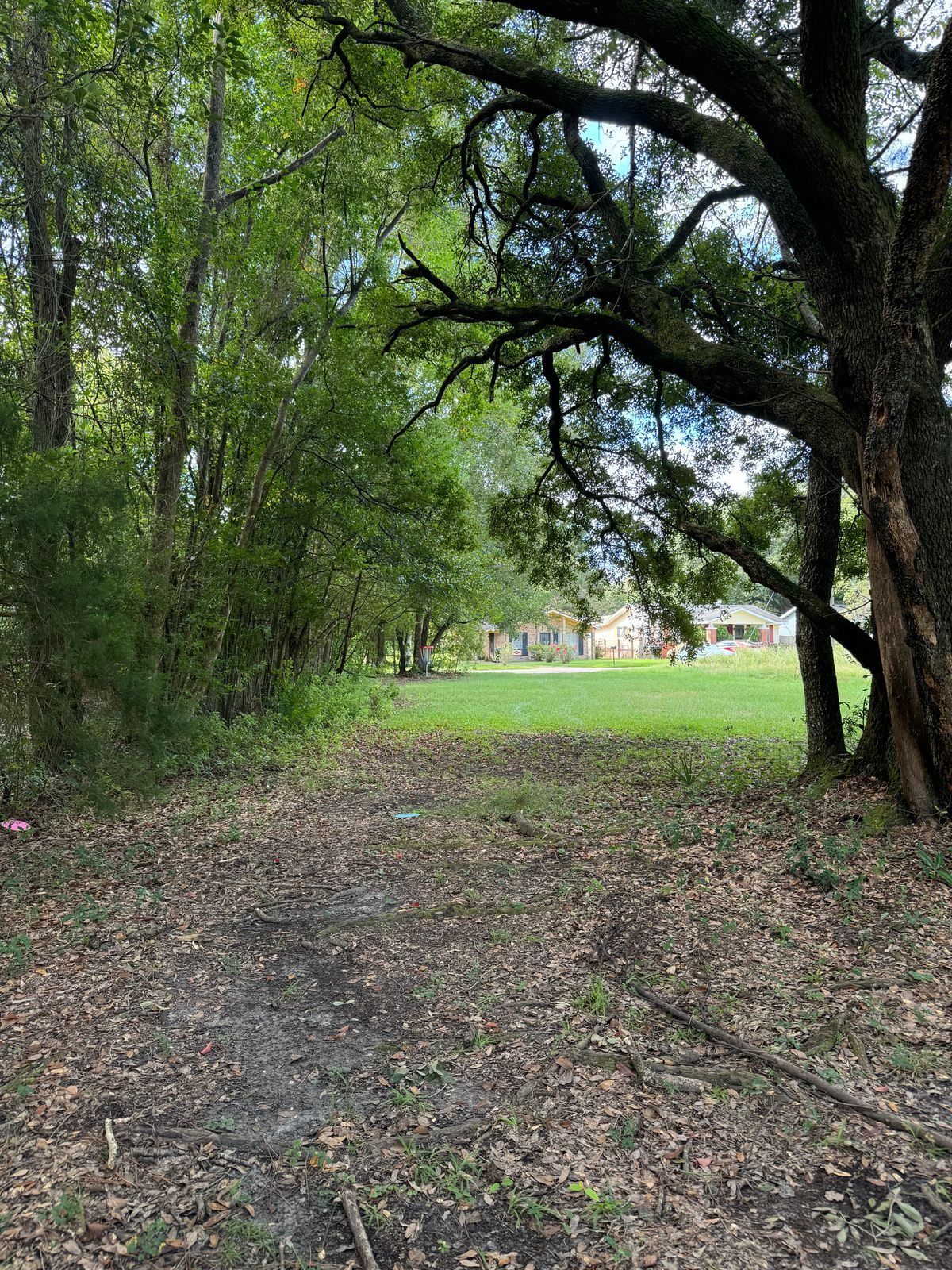 Hole 8 mid fairway