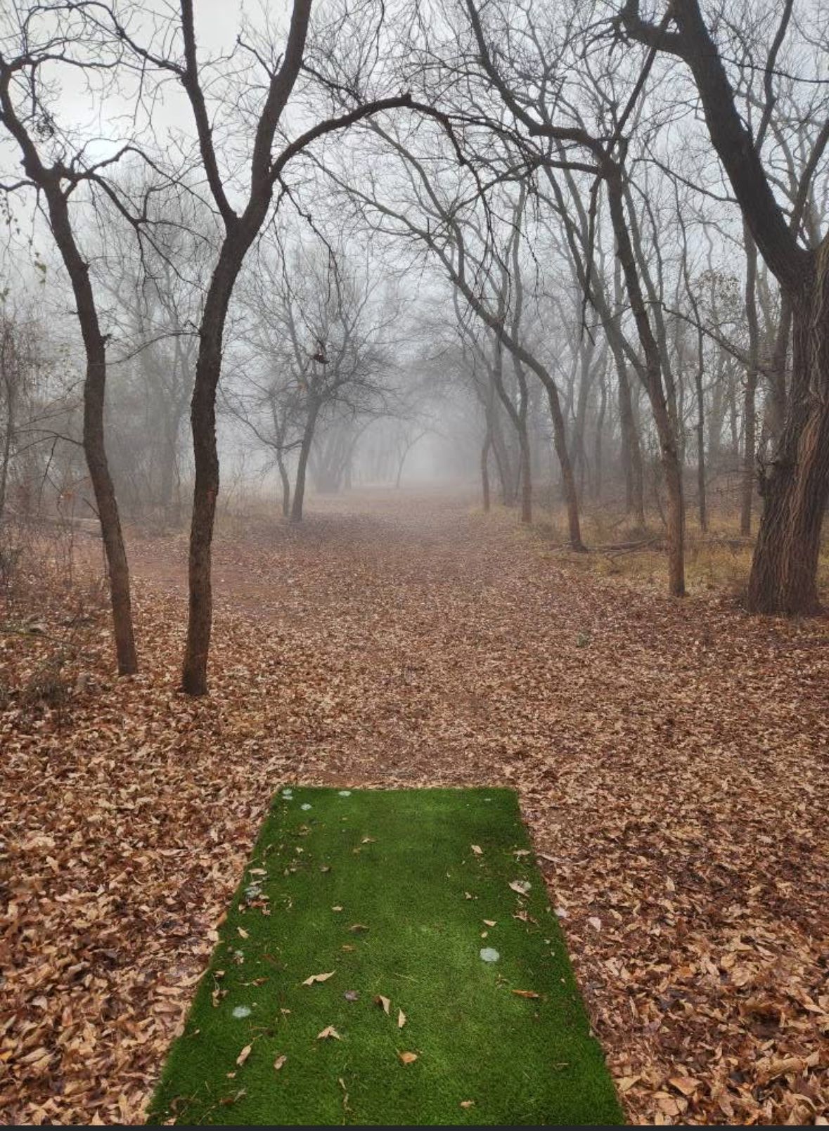 #15 in the morning fog.
