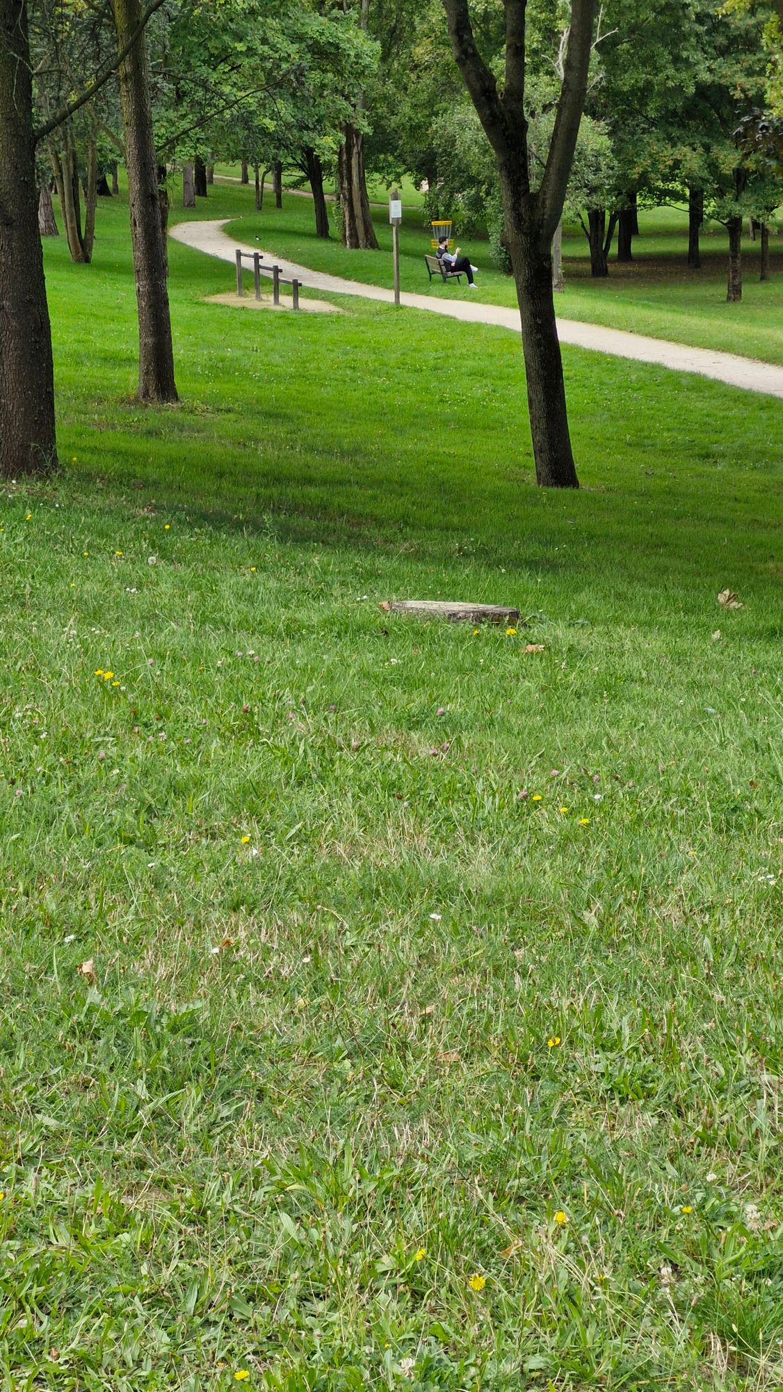 Hole 2 has a park bench in its fairway. Who designed this!!