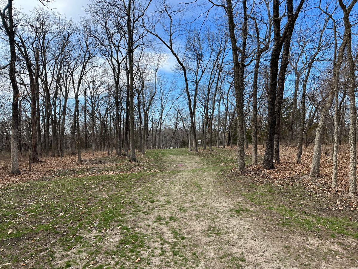 Hole 12 fairway