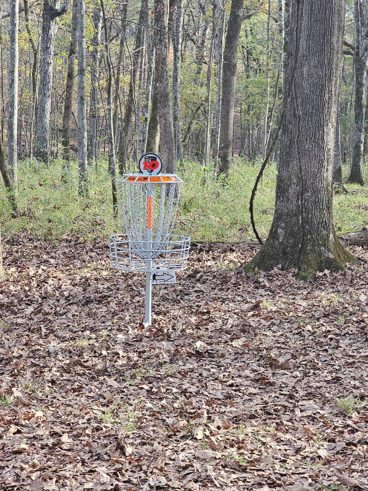Hole 10