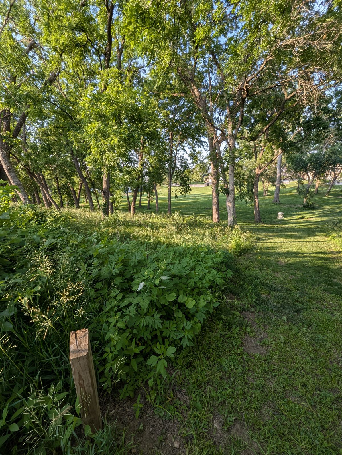 Hole 4 tee