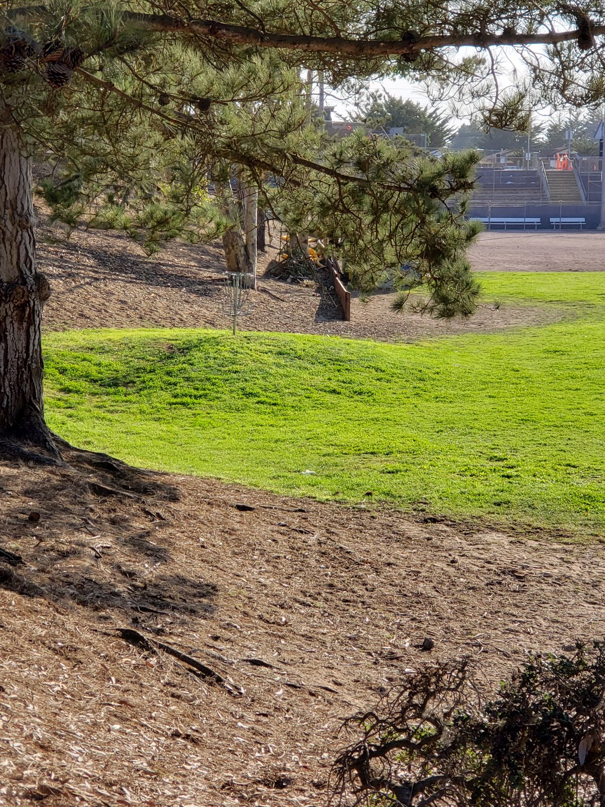Hole 7
